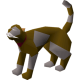 Skellys Cat Ears